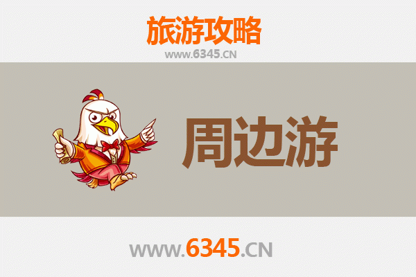 中卫海原周边游攻略：探秘宁夏东部的隐世瑰宝